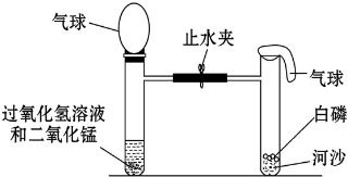 验证质量守恒定律 气体生成反应的设计实验