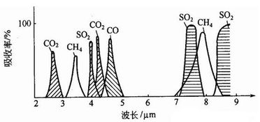 超越人类嗅觉 电子鼻与气体传感器的前沿探索